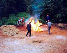 Curso de incêndio florestal